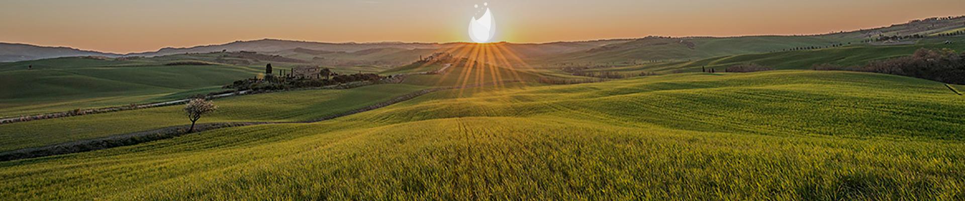 agro magazzino